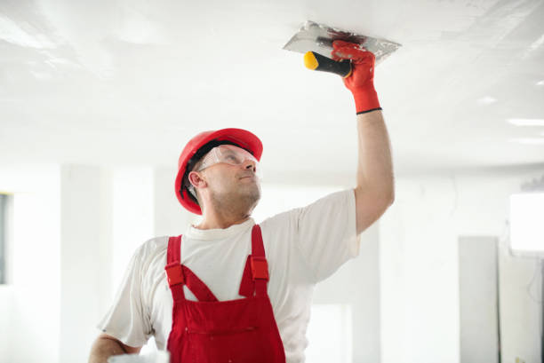 Best Residential Mold Inspection & Testing  in Farmville, VA