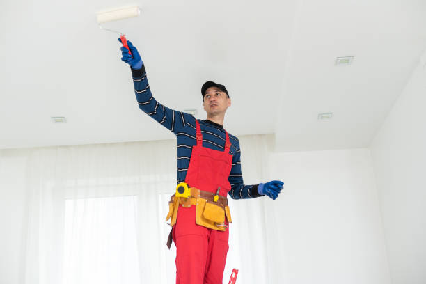  Farmville, VA Mold Removal Pros