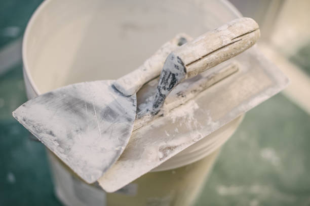 Best Asbestos and Lead Testing During Mold Inspection  in Farmville, VA
